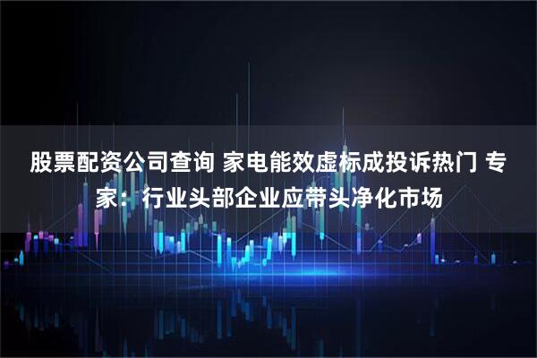 股票配资公司查询 家电能效虚标成投诉热门 专家：行业头部企业应带头净化市场
